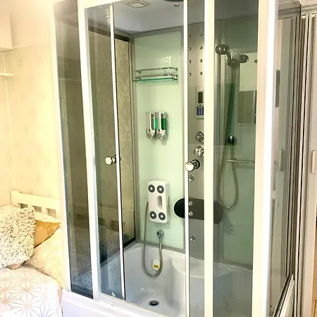 Appartement Pokoj Se Sprchovym Koutem A Toaletou